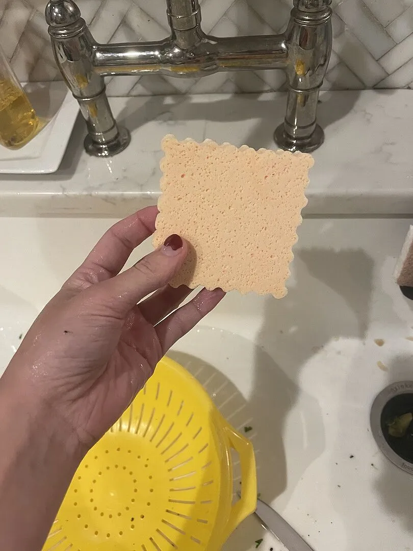 Fred Spongioli køkkensvamp ravioli 6 stk