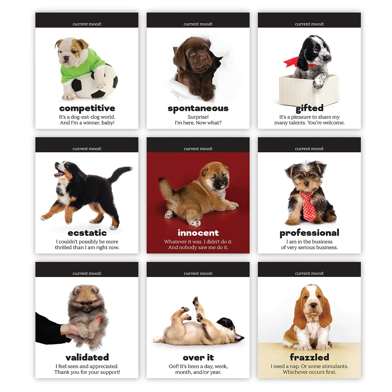 Fred Daily Doggo bordflipchart hund 48 ark
