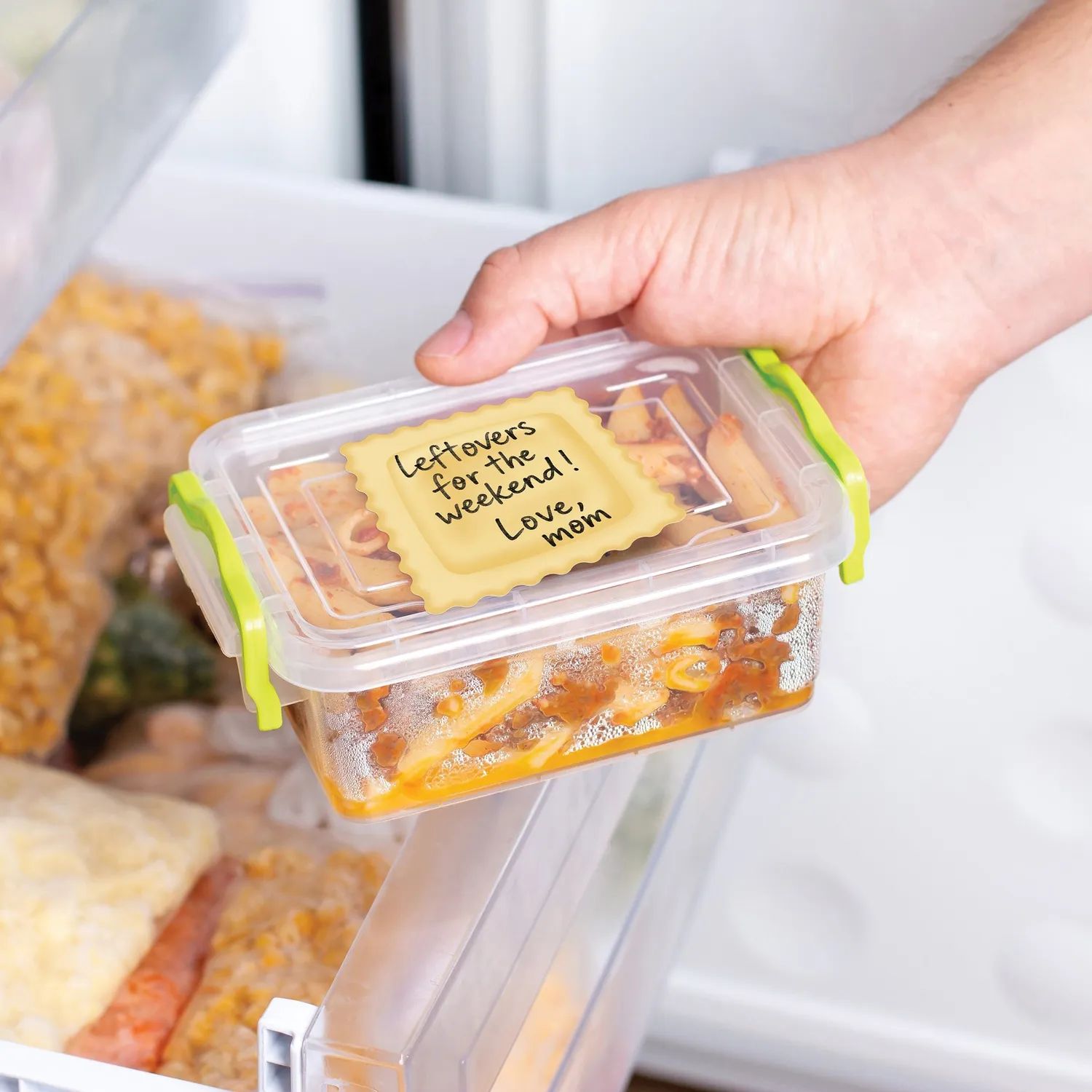 Fred Scribbioli sticky notes ravioli 2-pak