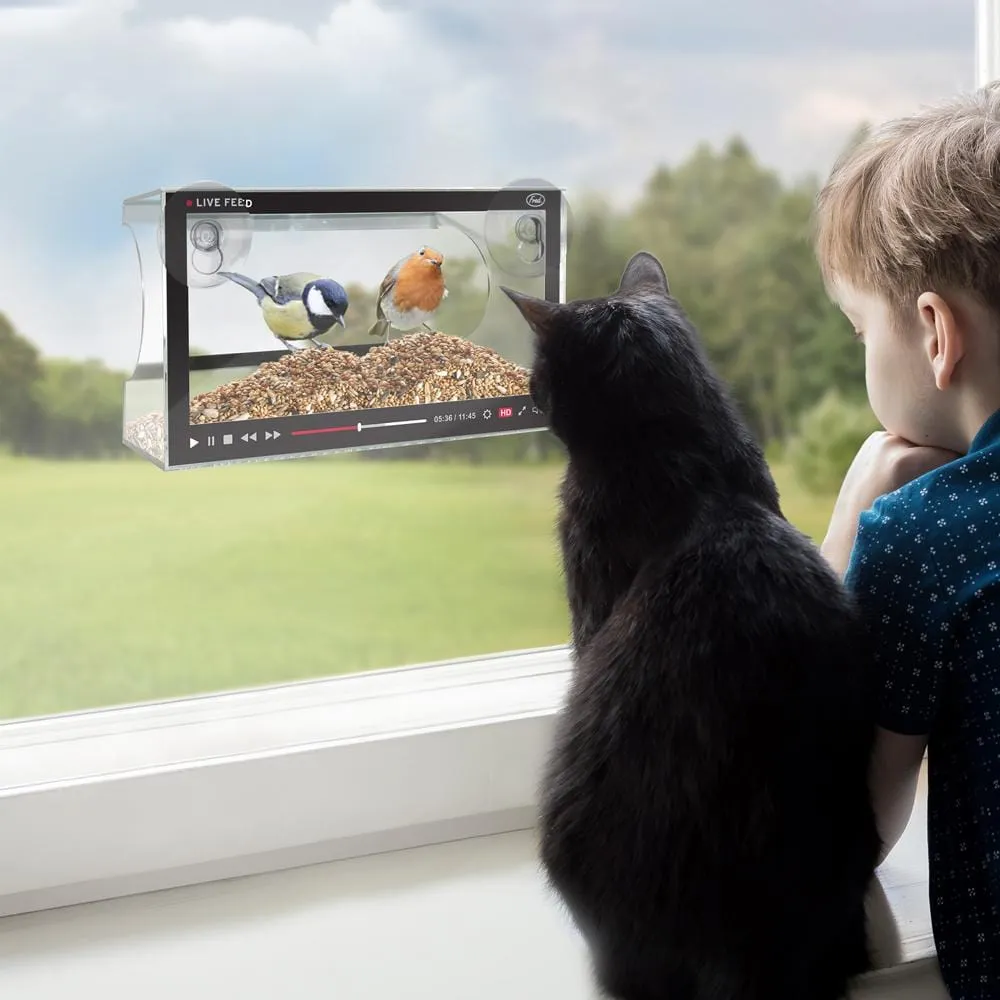 Fred Live Feed fuglefoderhus vindue akryl