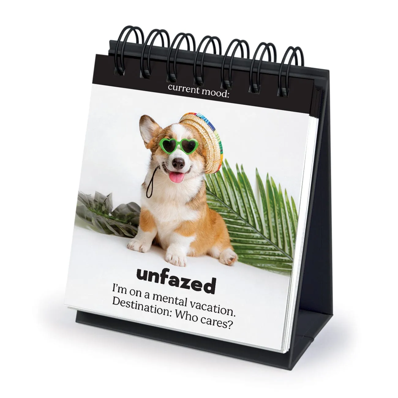 Fred Daily Doggo bordflipchart hund 48 ark