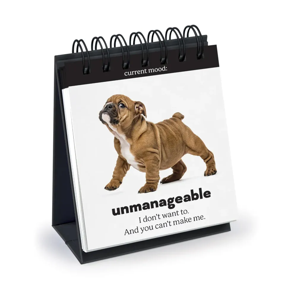 Fred Daily Doggo bordflipchart hund 48 ark