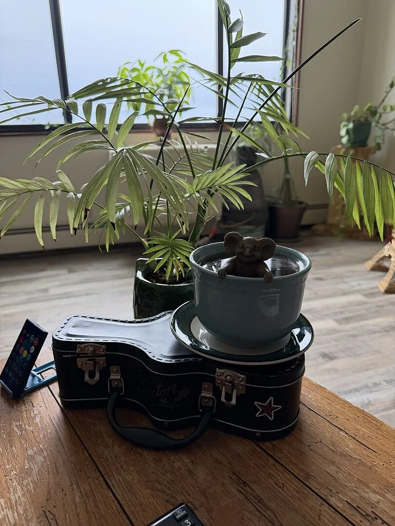 Fred & Friends Sipopotamus flodhest teinfuser silikone