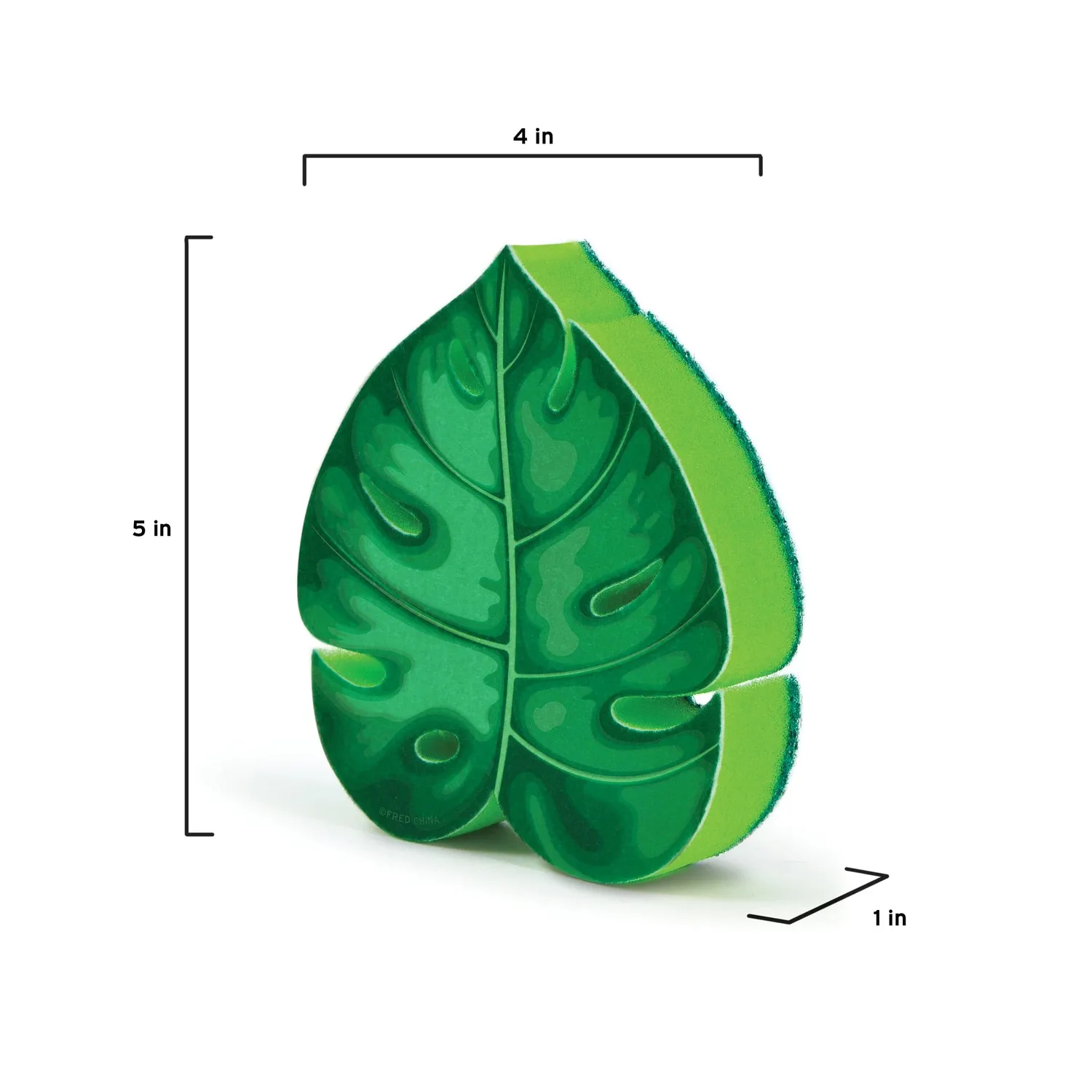 Fred House Plant opvaskesvamp plante