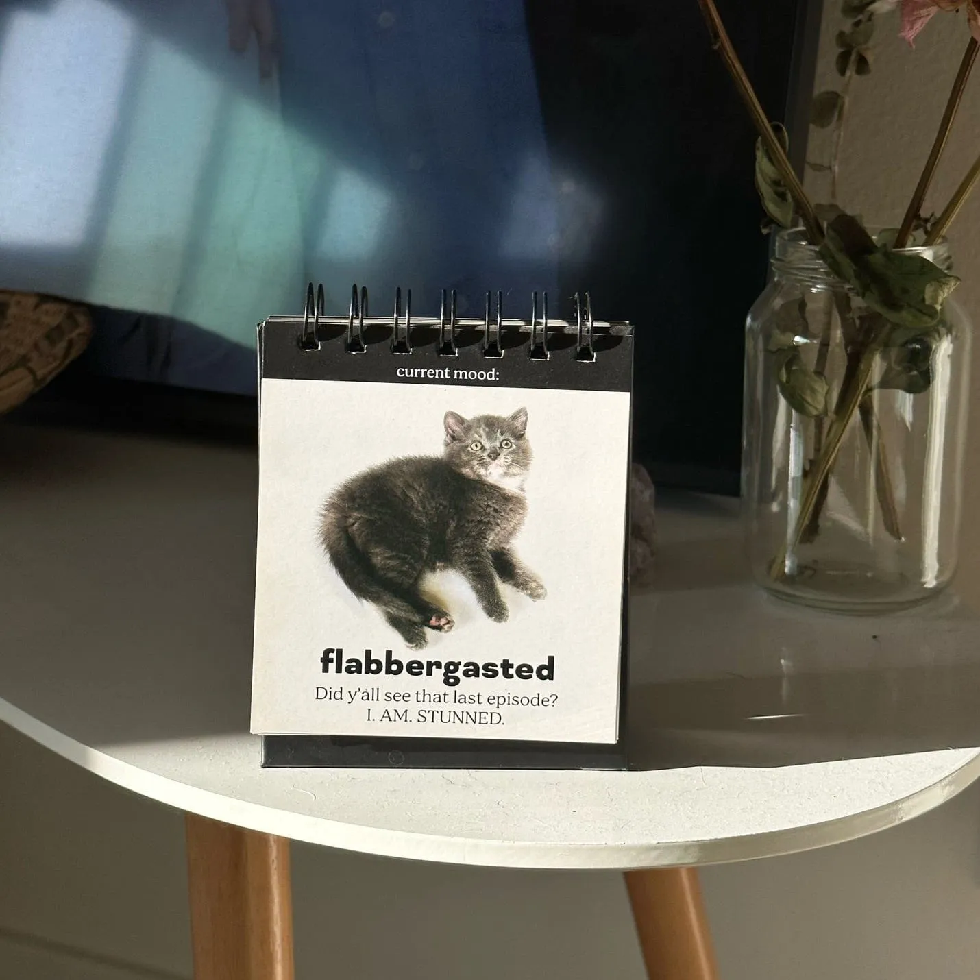 Fred Daily Cattitudes flipbog med 48 kattehumør