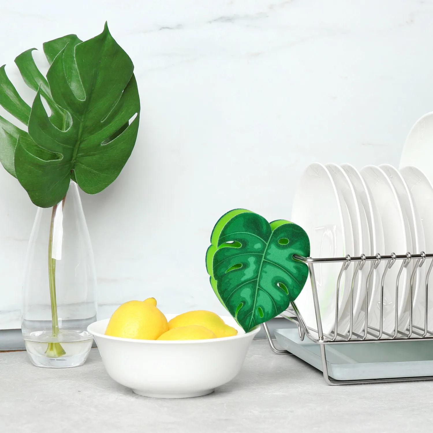 Fred House Plant opvaskesvamp plante
