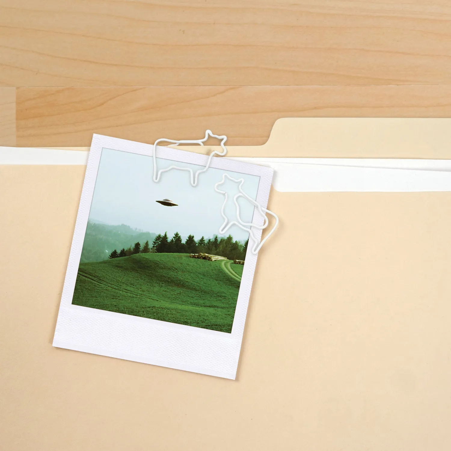 Fred Filing Saucer magnetisk papirclipsholder ko