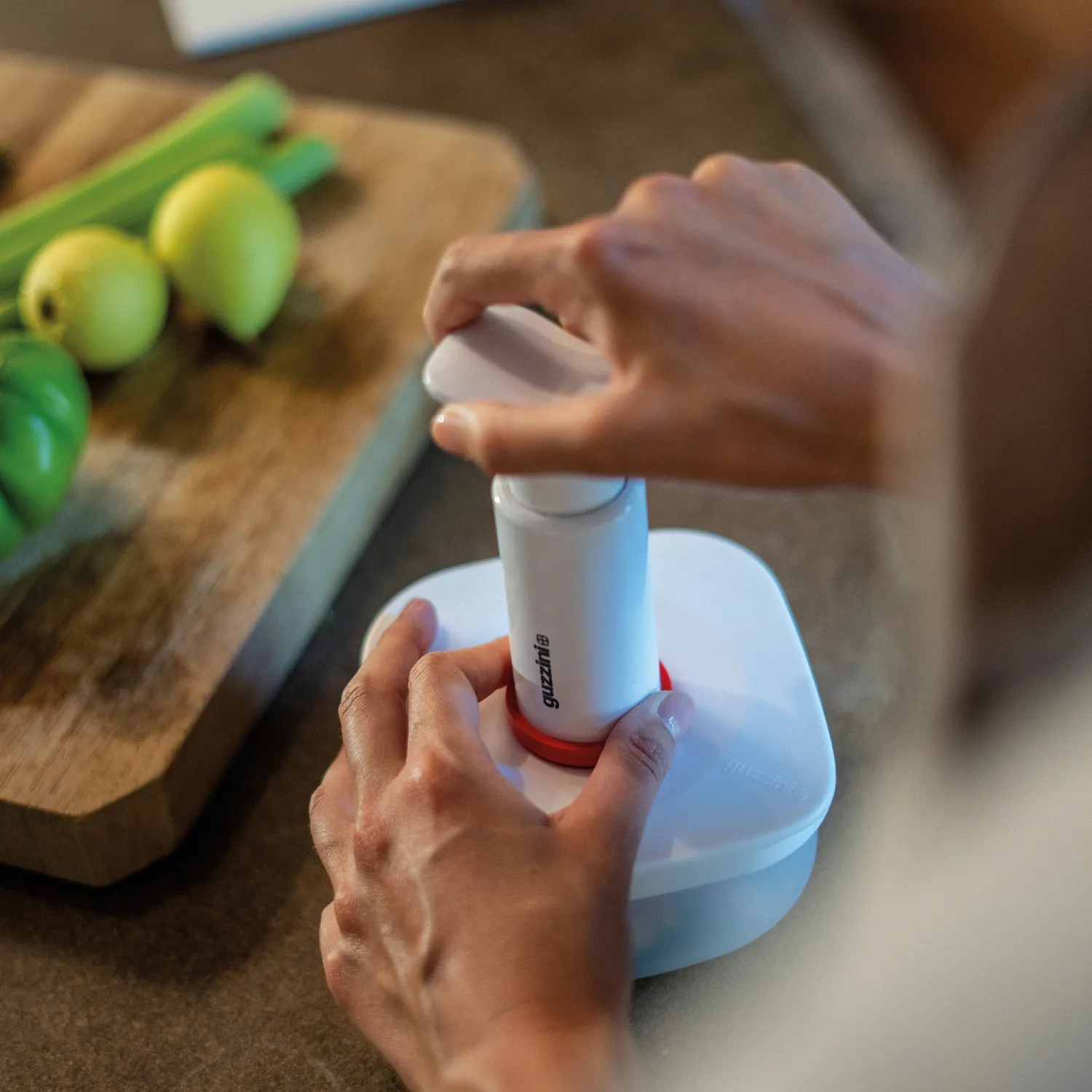 Guzzini Save-It vakuumpumpe manuel til opbevaring