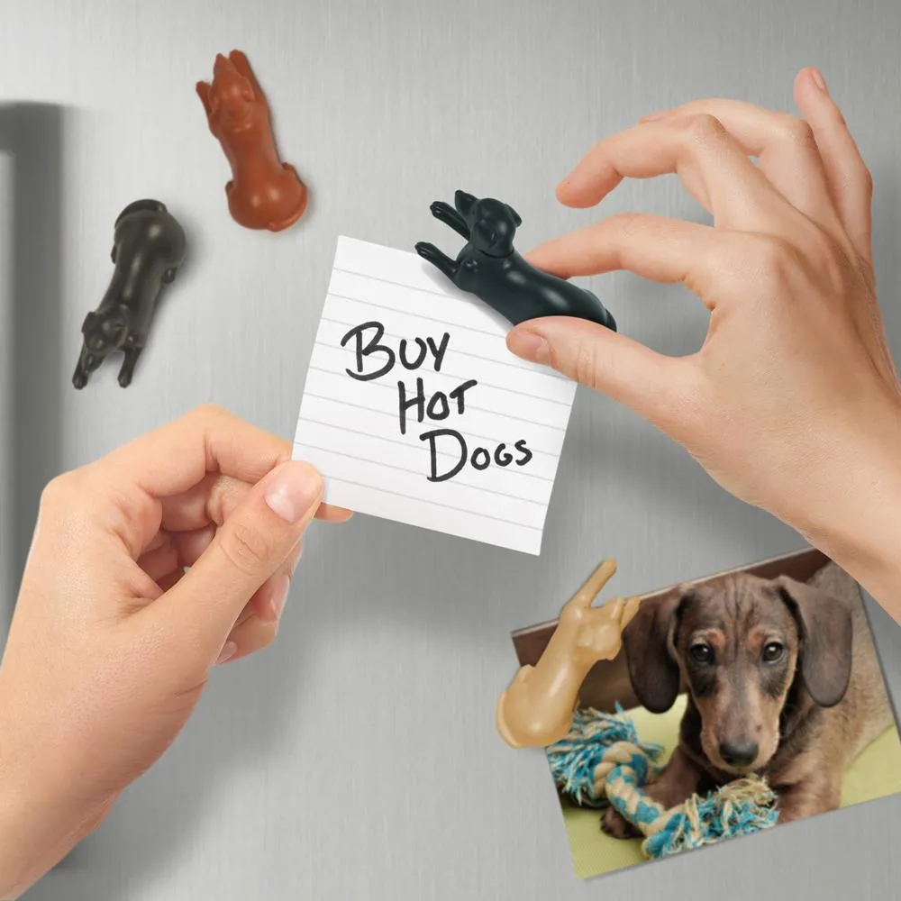 Fred Magnetipups køleskabsmagneter 4 stk hunde