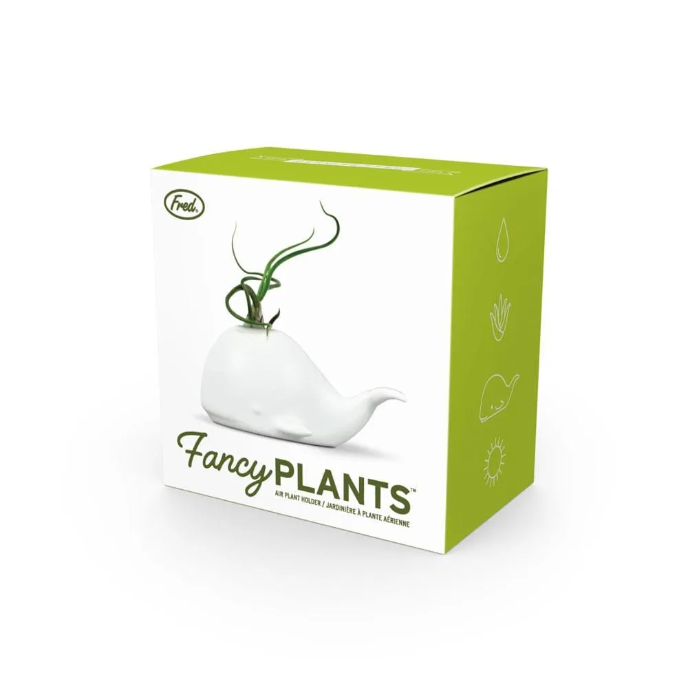 Fred Fancy Plants Whale luftplanteholder keramik