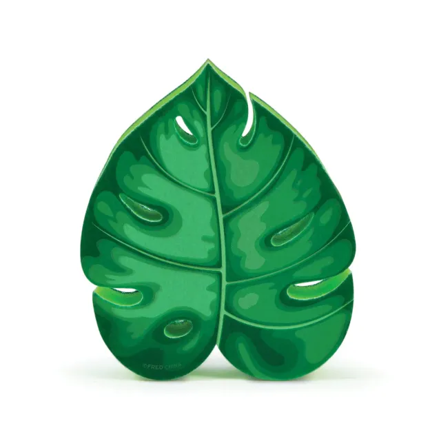 Fred House Plant opvaskesvamp plante