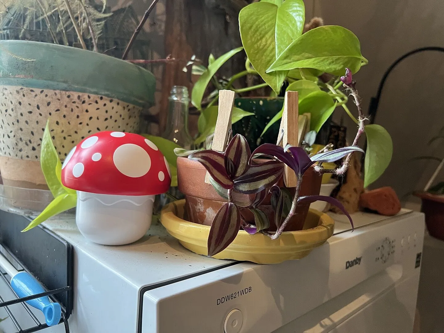 Fred Mushroom Cups målebæger sæt 6 stk svamp