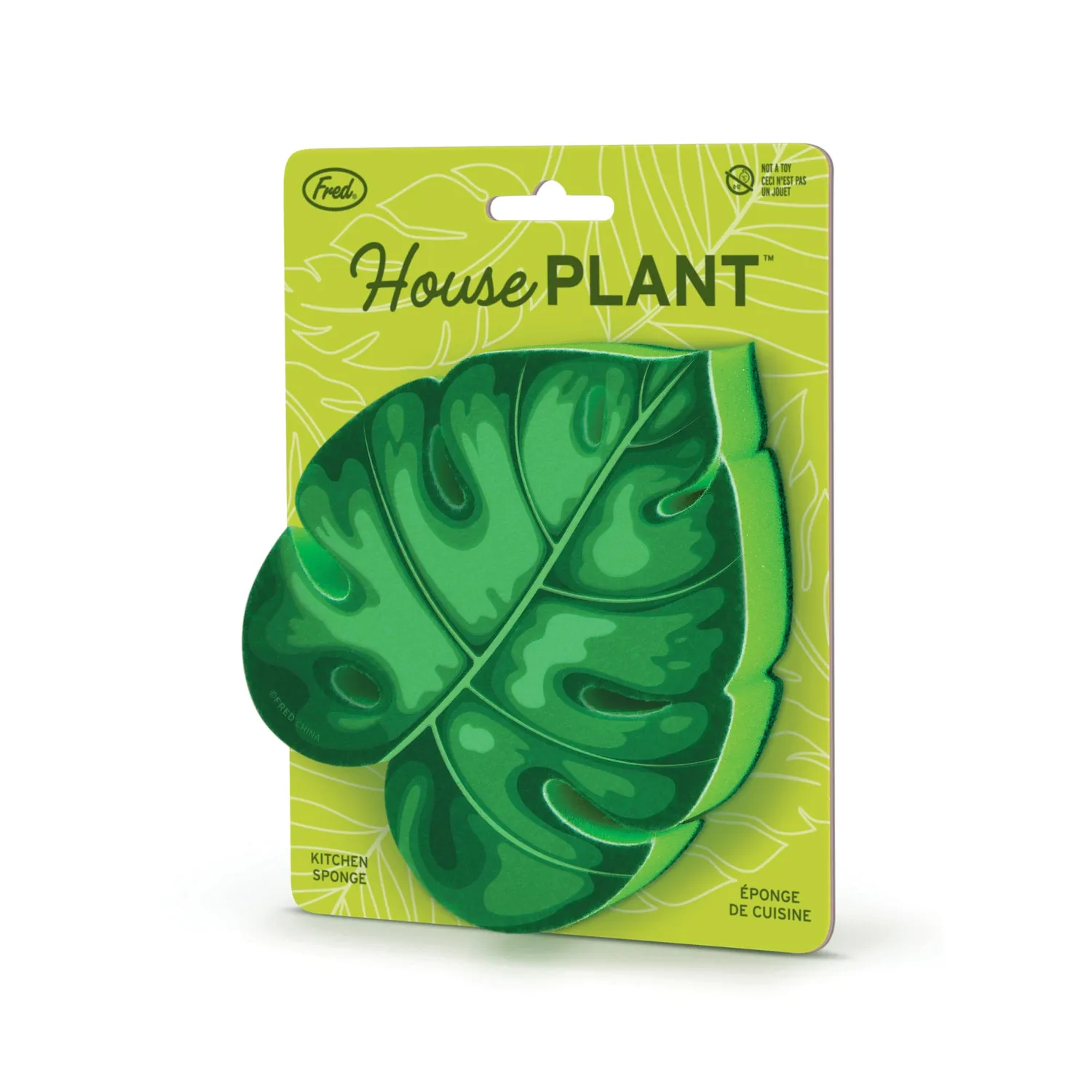 Fred House Plant opvaskesvamp plante
