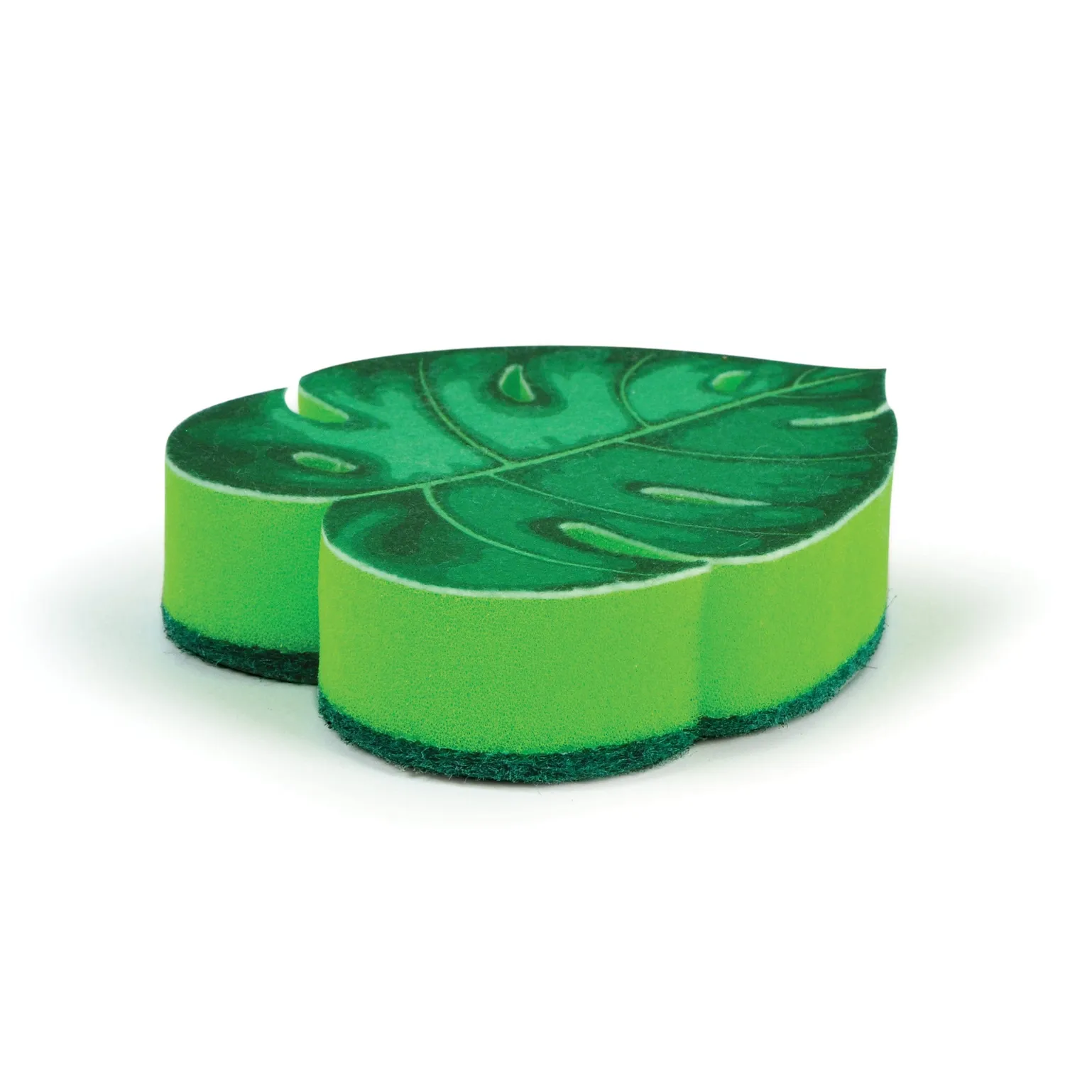 Fred House Plant opvaskesvamp plante